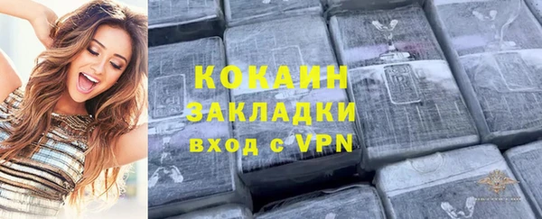 прущая мука Вяземский